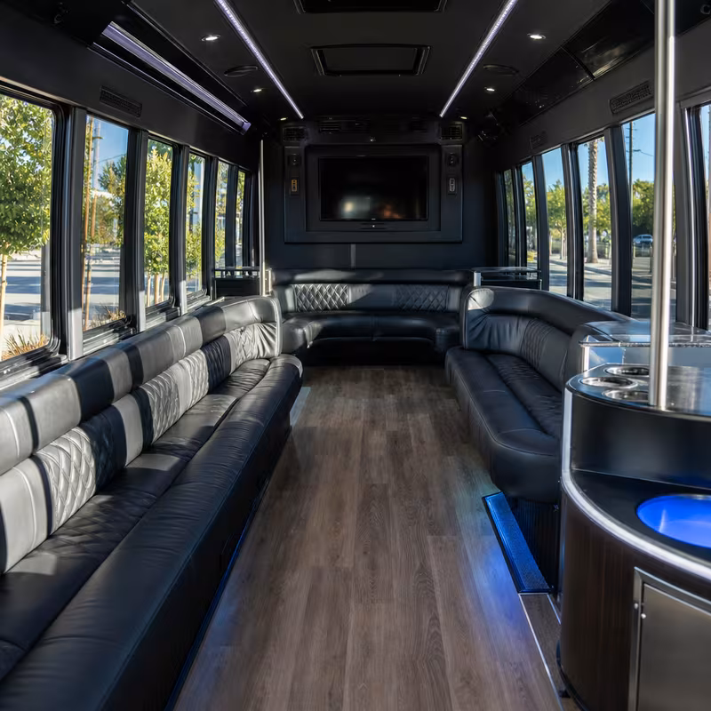 Passenger watching the Staten Island scenery during a regional party bus road trip